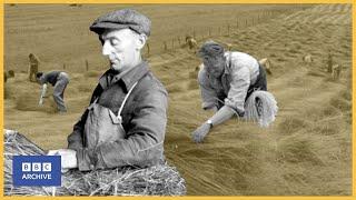 1951: FACTS about FLAX | Newsreel | World of Work | BBC Archive