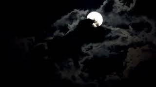 Moon Light Stock Video No Copyright Videos