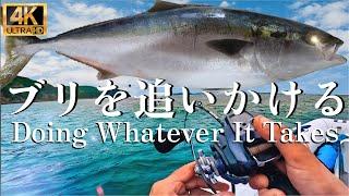 Mastering Japanese Fishing Rigs to Land Monster Fish!