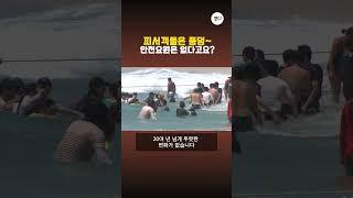 피서객들은 풍덩~... 안전요원은 없다고요?