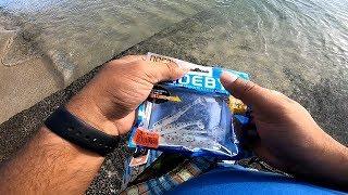 s18ep29- How to catch fish on the Noeby Soft Lure from Shore..