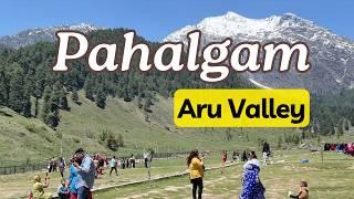 Visiting the Beautiful Aru Valley in Pahalgam | Kashmir Trip 2024 | That Wandering Couple