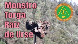 #Monstro #Torga a #Raiz de #Urse