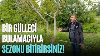 Bir Gülleci Bulamacıyla Sezonu Bitirirsiniz!