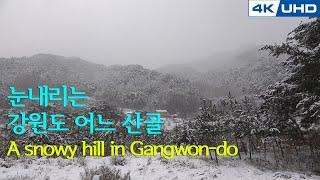 4K 자연 영상_눈내리는 강원도 산골 풍경(With Music)/4K KOREA Natural Video_A snowy hill in Gangwon-do