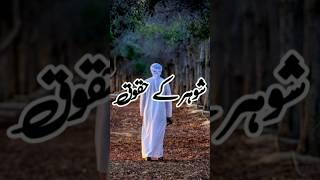 Biwi Hi Sab Kuch Kare ||Islamik Whatsapp Status||ak Deen ki baten{علیشا خان}️#islamic #shorts