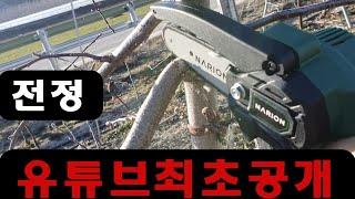 전정 꿀팁 유튜브 최초 공개합니다 이런거 안 가르쳐 줘요