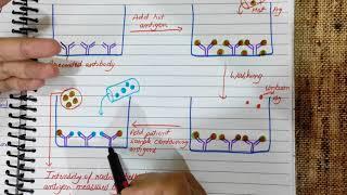 Radioimmunoassay Explained | RIA | Principle | Diagram | Flowchart #medicology