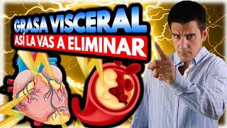 ‍️¿Cómo se puede Eliminar la GRASA VISCERAL?️[Consejos Prácticos para empezar AHORA]