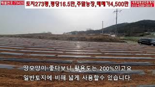 충남주말농장매매-충남 홍성군 토지 매매-토지273평,평당16.5만,매매 4,500만,홍성시내15분-내포박사(73426)