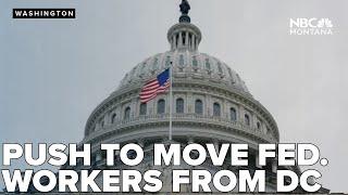 Senator wants to drain the 'swamp' by moving federal workers from DC