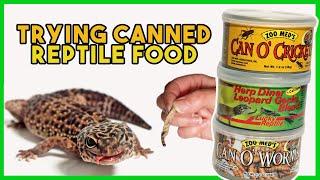 CANNED INSECTS? | Feeding my Leopard Geckos *GROSS*