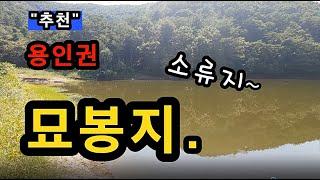 [용인]_ 묘봉지 낚시 포인트 / 송전지, 고삼지 인근 조용한 계곡지 / 경기도 용인시 처인구 이동읍 묘봉리 140-5