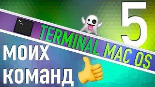 Terminal MacМои любимые команды!