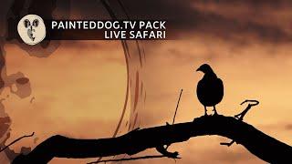 LIVE Safari Sponsored by the Painteddog.tv Pack | 14 October 2024