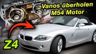 Vanoseinheit überholen BMW Z4 - M54 Motor 6 Zylinder! Schwierige Angelegenheit | BMWFarid