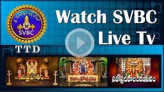 #Live : Srivari Kalyanotsavam || Tirumala  || SVBC LIVE Streaming || SVBC TTD