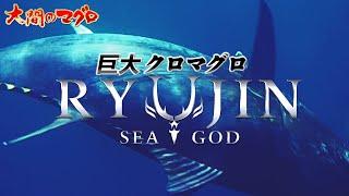 年越し特番 巨大クロマグロ～孤高の洋上戦～大間マグロ BLUEFIN TUNA まぐろ漁師 南兄弟 竜神りゅうじん 龍神 RYUJIN