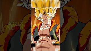 DBZ Gogeta Is Born!