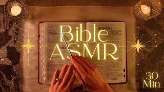 A Whispered Reading of Titus and Philemon  Bible ASMR 