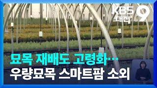 묘목 재배도 고령화…우량묘목 스마트팜 소외 / KBS  2022.03.13.