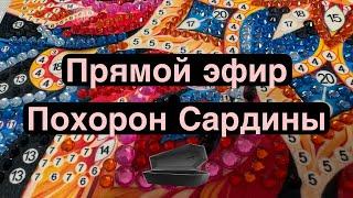 Прямой Эфир . Похорон Сардины