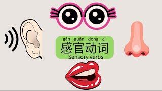 Learn Chinese-mandarin-Daily Vocabulary-Daily Expression-Sensory Verbs学汉语-普通话-日常词汇-日常表达-感官动词