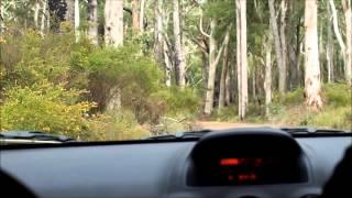 Review Holden Captiva 5 LTZ 2.2 Diesel AWD