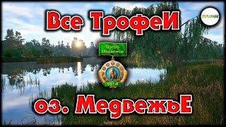 РУССКАЯ РЫБАЛКА 4 (RUSSIAN FISHING 4) - ВСЕ ТРОФЕИ. ОЗЕРО МЕДВЕЖЬЕ.