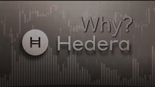 Why Hedera Hashgraph is the Future of Blockchain