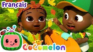 Les feuilles d'automne  | Nouvel épisode ! CoComelon - L'Heure de Cody | Chansons pour bébés