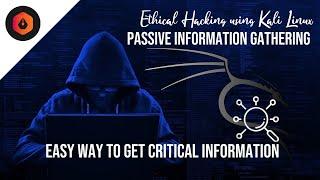 20 - Easy Way to get critical information || CEH