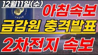 에코프로,금양 2차전지 금감원 충격발표! 이복현-박순혁 확정햇다!  #2차전지#에코프로#에코프로머티#LG에너지솔루션#포스코홀딩스#엔켐 #LG엔솔