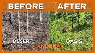 THE BEST Habitat Management Tool! | Prescribed Fire