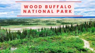 Wood Buffalo National Park