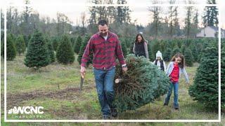 A special meaning for Christmas trees from western North Carolina this season