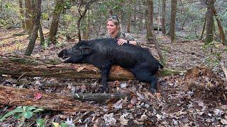 2024 HOG HUNT..NIGHT HUNTING..STABBING HOGS..BOW HUNTING..