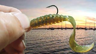 This soft plastic never lets you down FISHING FRENZY