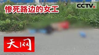 《天网》光天化日之下女工被撞身亡 肇事司机竟然是丈夫同事 | CCTV社会与法