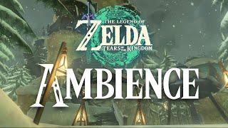 Tears of the Kingdom | Rito Village | 1 Hour Relaxing Zelda Ambience Sounds ASMR