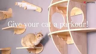 Would your kitty love the wooden cat wall?-Freeship&40% off! #petomg #catwall #catfurniture