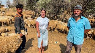 KAZAKHS IN TURKEY! How do they live in a KAZAKH village? Cooking MANTY, baursak! TURKEY, Kazakhs.