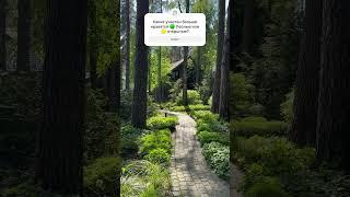 Ландшафтный дизайн лесного участка
