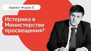 Минпросвещения: истерика? Что сейчас происходит с "сиротским законом".