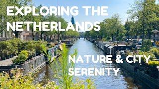 Summertime in the Netherlands: Exploring Hoorn, Avenhorn & Amsterdam | Healing Nature & City Sounds