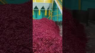 spice factory ️   factory #short #trending #viral #factory