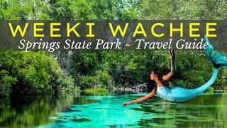 Weeki Wachee Springs State Park & Mermaid Show  | Travel Guide ‍️