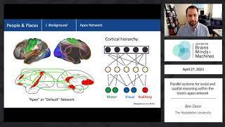 Parallel systems for social and spatial reasoning within the brain's apex network