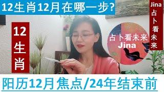 阳历12月2024年结束前! 12生肖主要焦点！每个生肖时间点在留言区！生肖鼠 生肖牛  生肖虎  生肖兔  生肖龙 生肖蛇 生肖马 生肖羊 生肖猴 生肖鸡 生肖狗‍ 生肖猪