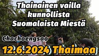 Durian Farmilla - Thainainen Kunnollista Suomalaista Miestä Vaille 12.6.2024 Thaimaa